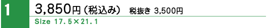 3850　横17.5センチ　縦21.1センチ